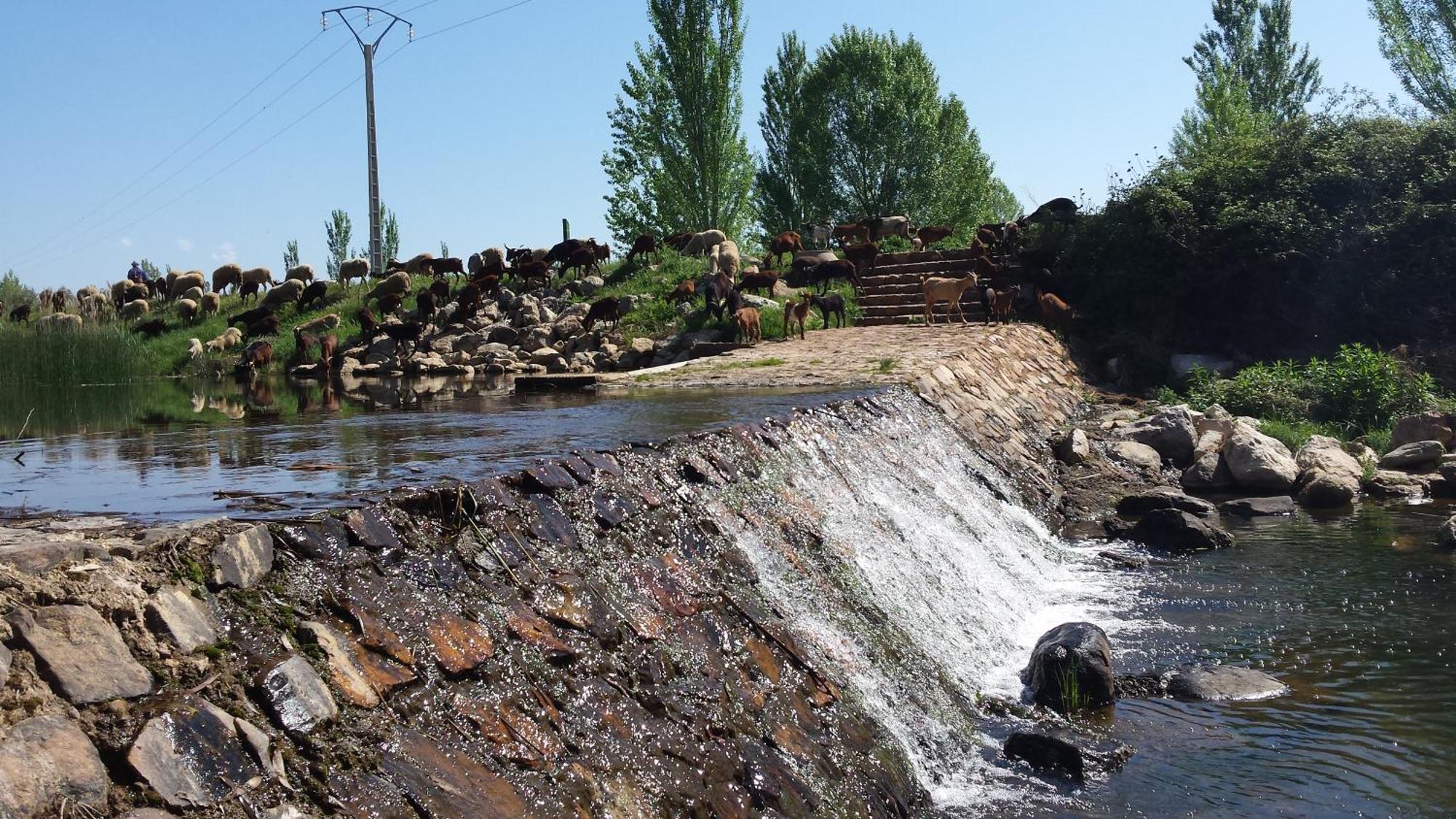 Apartament Complejo Turistico Rural Fuente Taray Malagón Zewnętrze zdjęcie