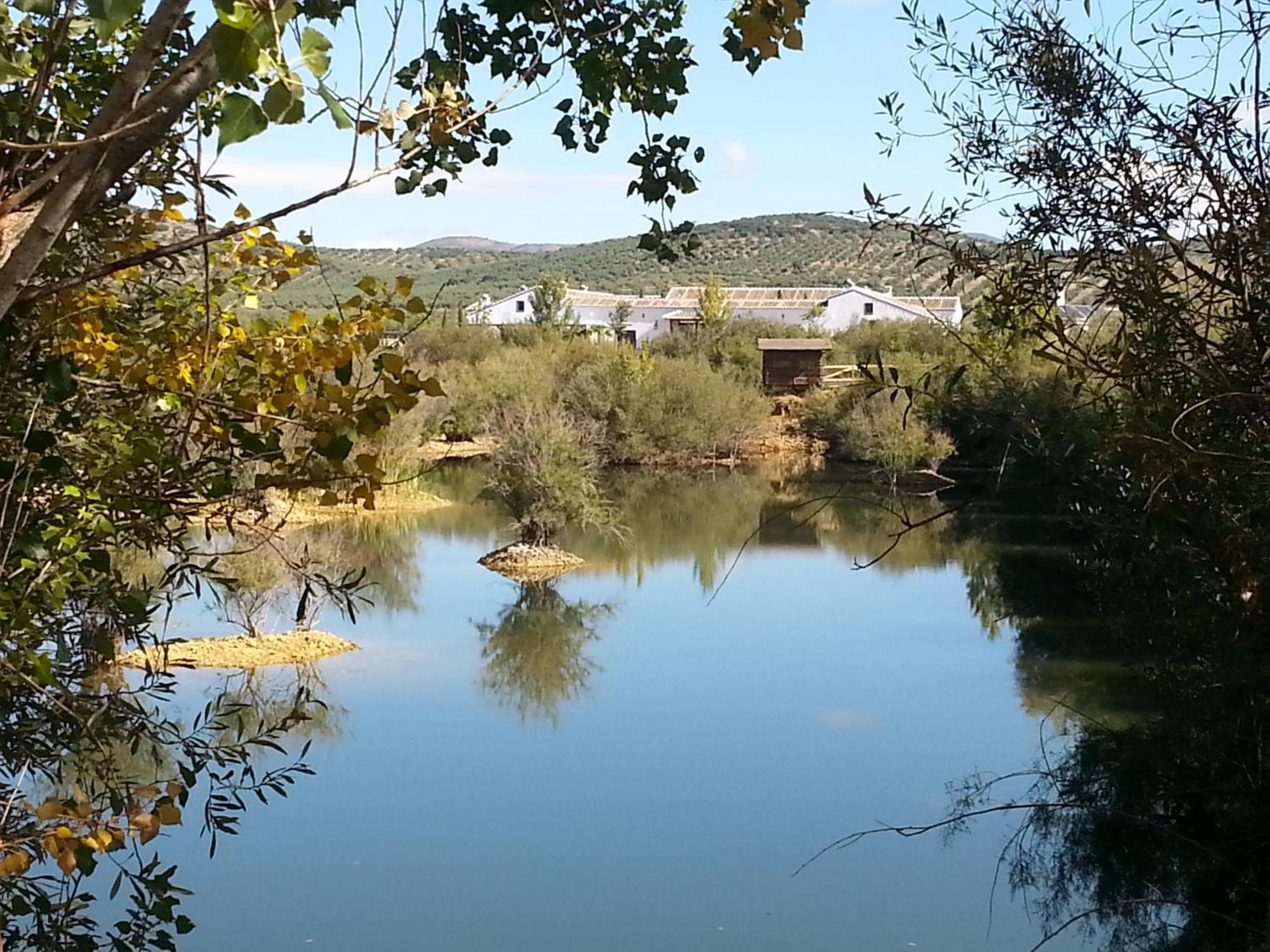 Apartament Complejo Turistico Rural Fuente Taray Malagón Zewnętrze zdjęcie