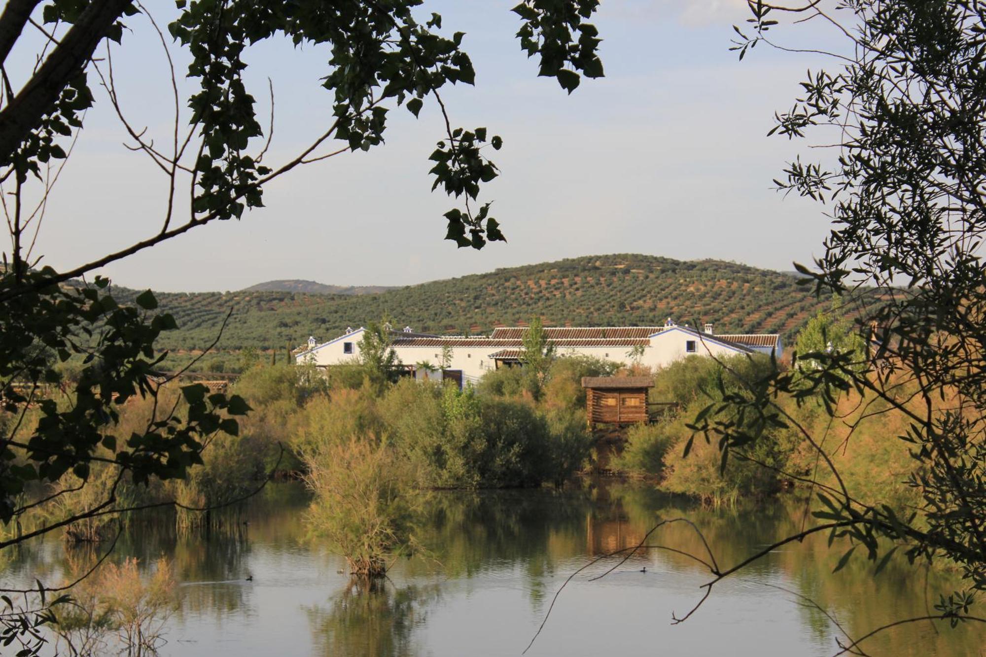 Apartament Complejo Turistico Rural Fuente Taray Malagón Zewnętrze zdjęcie